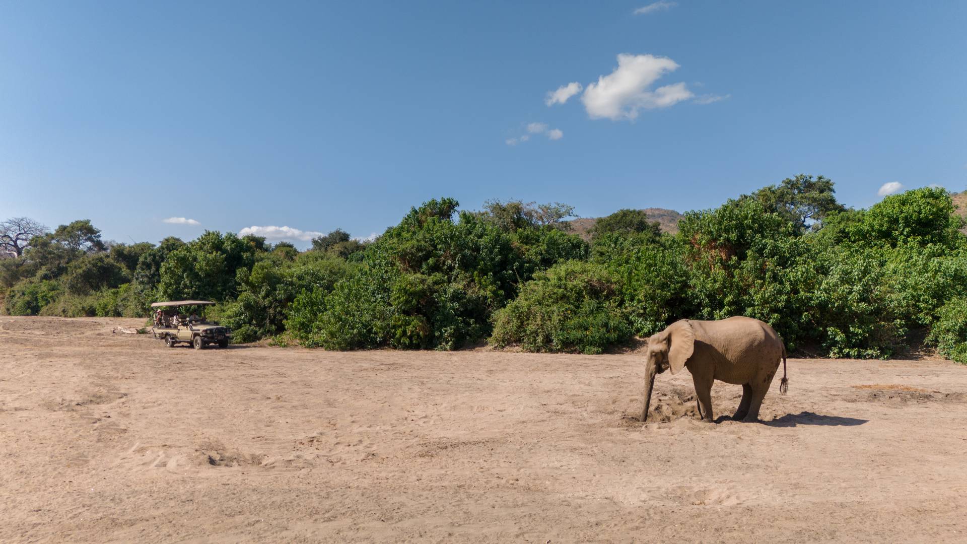 Mhara River Camp, Mana Pools National Park, Hideaways Africa